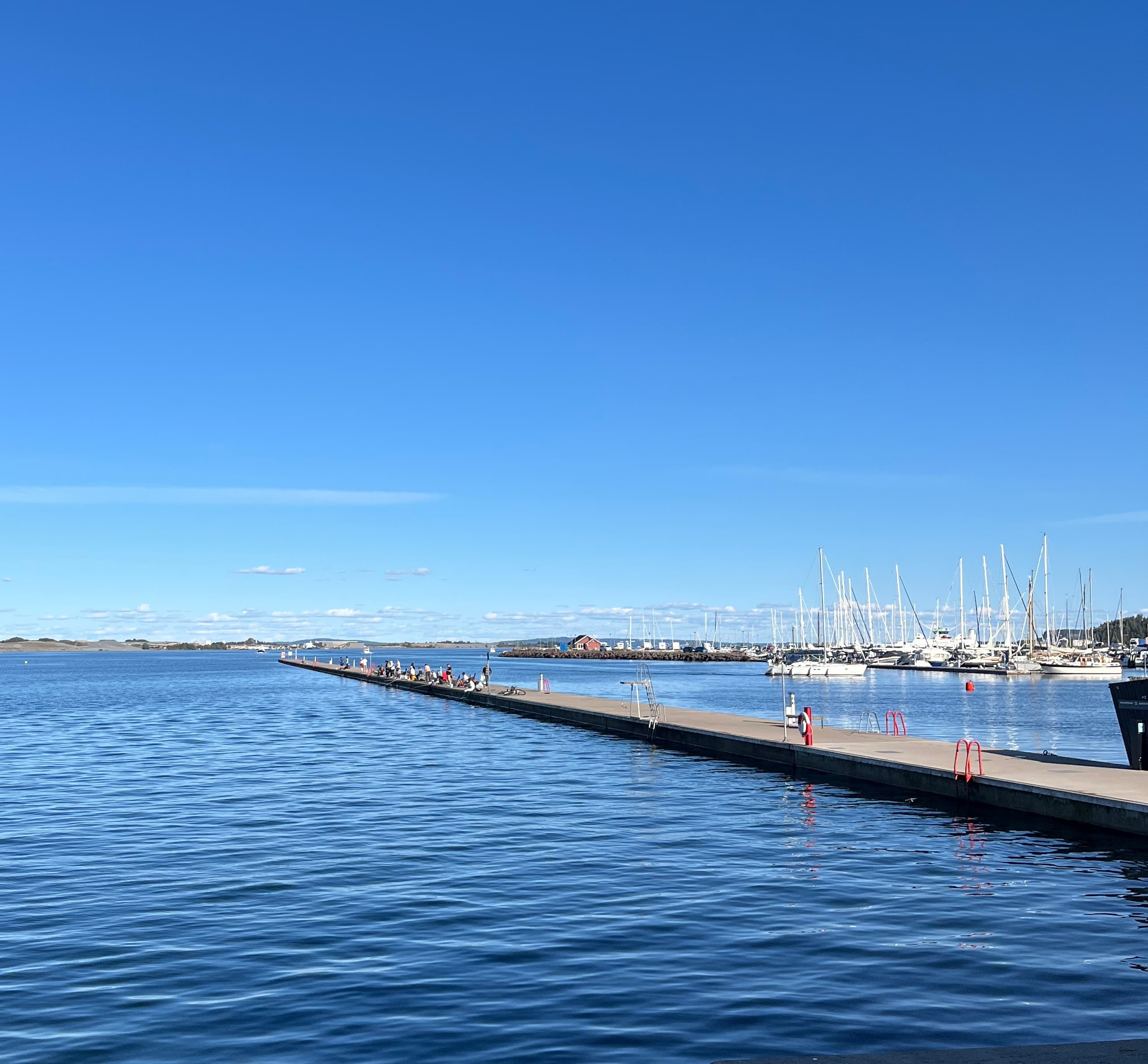 Holmestrandfjorden sett fra Dulpen